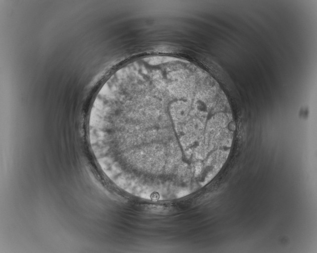 X0000112950347200910051224