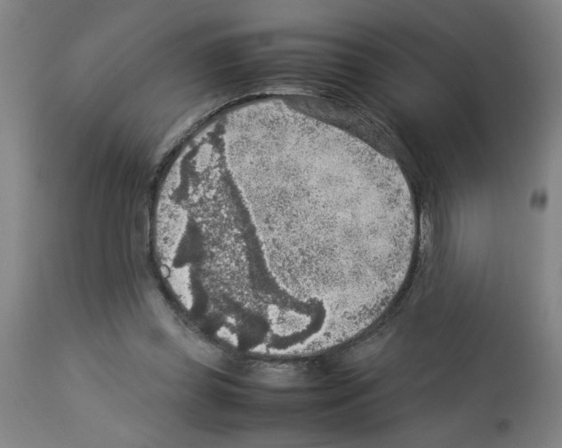 X0000112950349200910051224