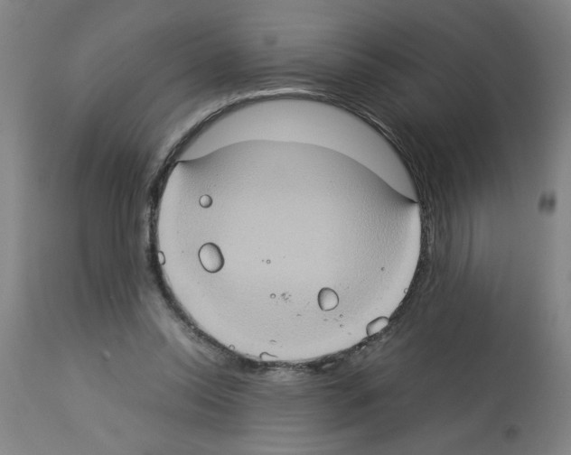 X0000112950350200910051224
