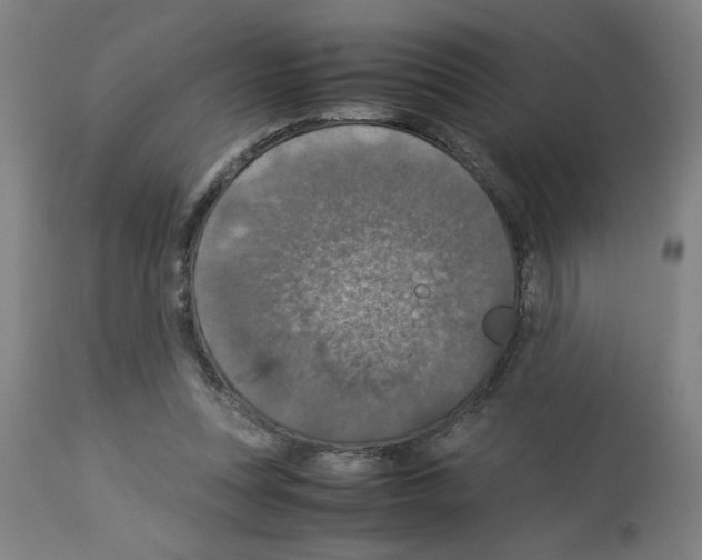 X0000112950351200910051224