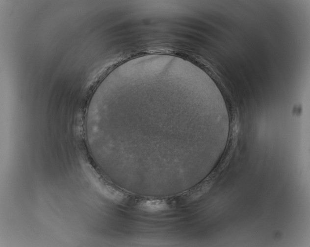 X0000112950353200910051224