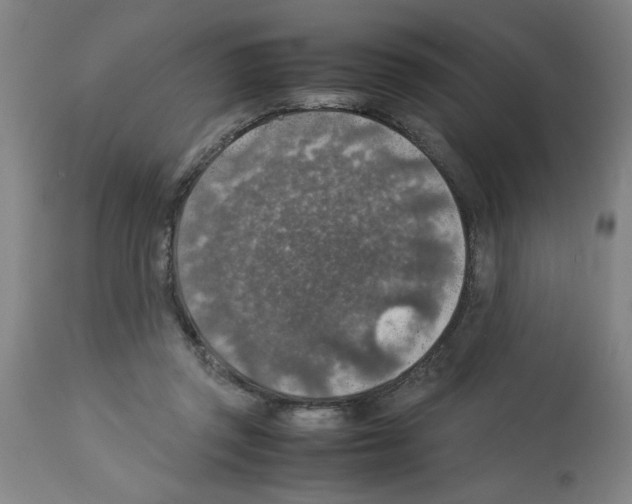 X0000112950357200910051224