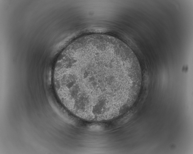 X0000112950358200910051224