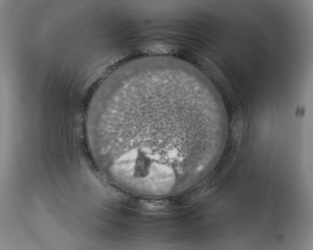 X0000112950359200910051224