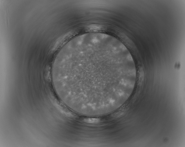X0000112950361200910051224