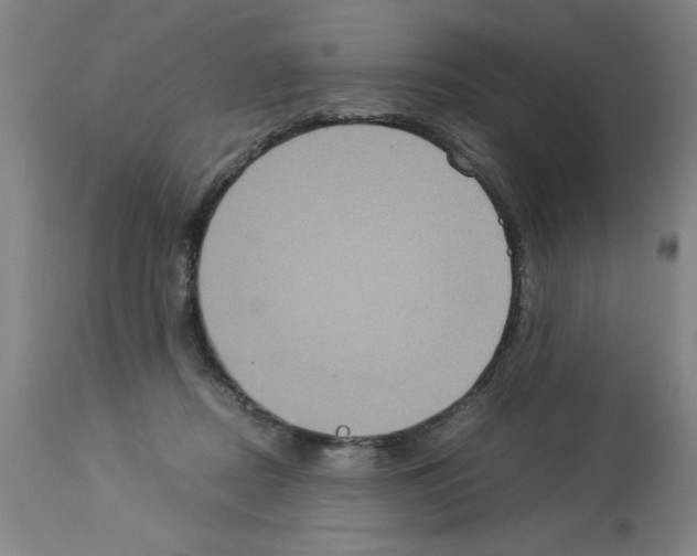 X0000112950362200910051224