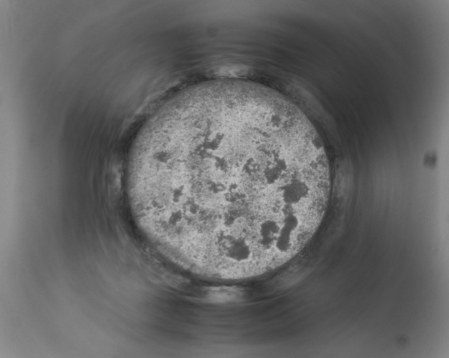 X0000112950363200910051224
