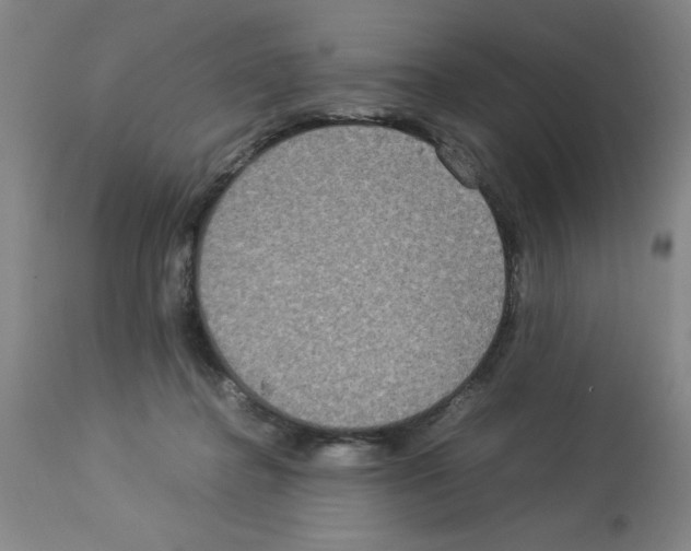 X0000112950364200910051224
