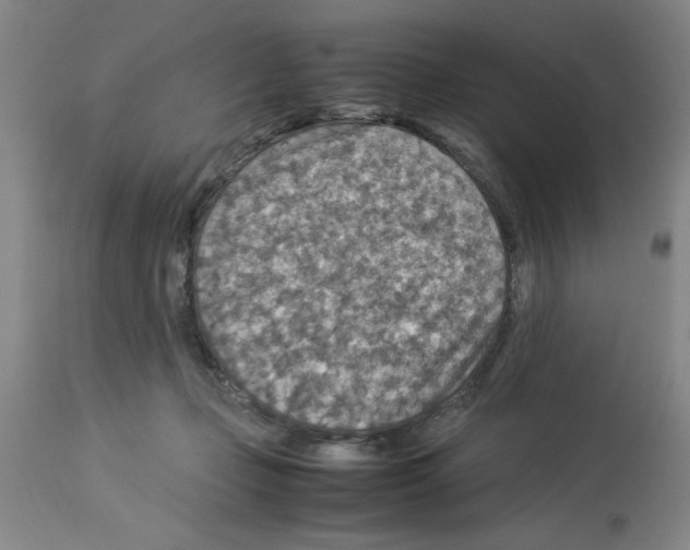 X0000112950365200910051224