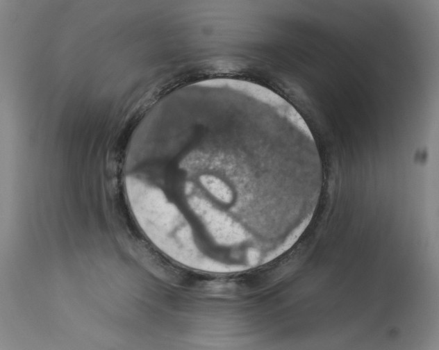 X0000112950366200910051224