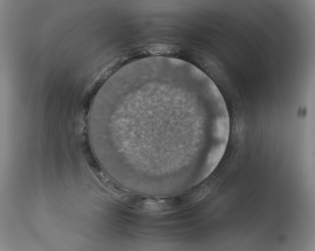 X0000112950367200910051224