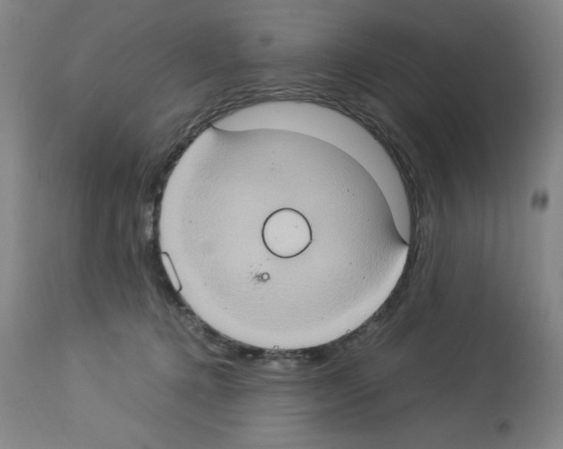 X0000112950368200910051224