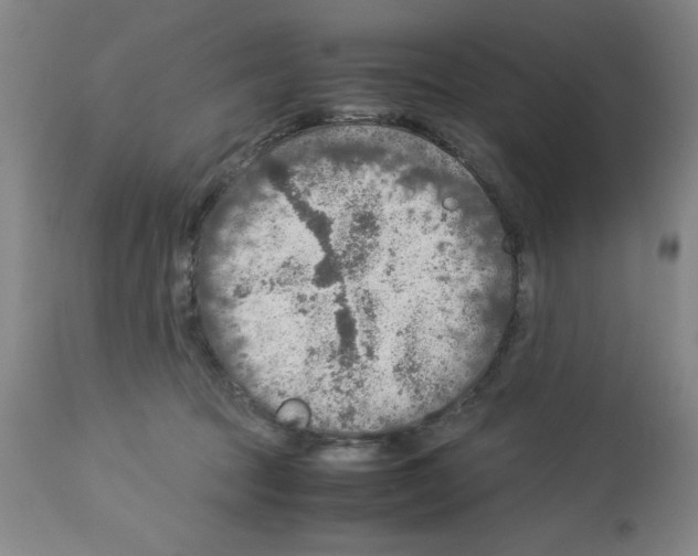 X0000112950369200910051224