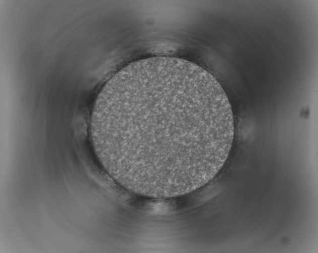 X0000112950370200910051224