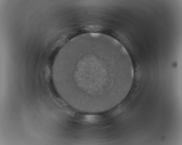 X0000112950371200910051224