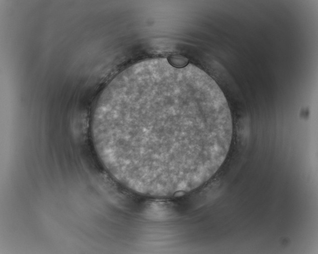 X0000112950372200910051224