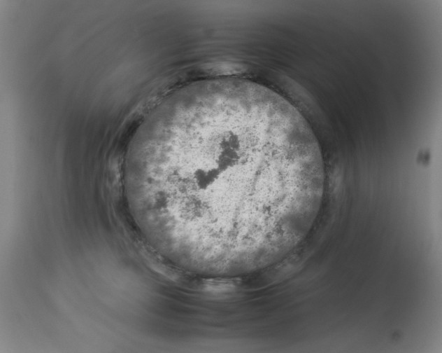 X0000112950373200910051224