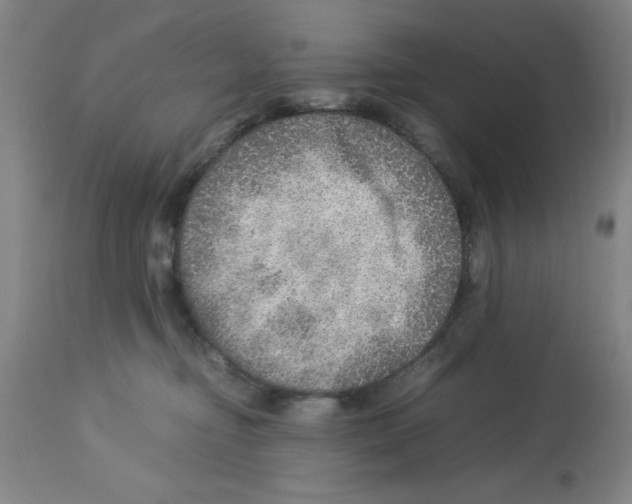 X0000112950374200910051224