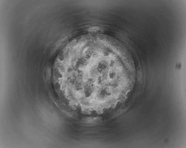 X0000112950375200910051224