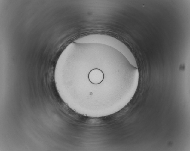 X0000112950376200910051224