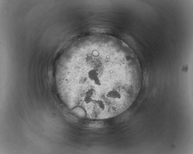 X0000112950377200910051224