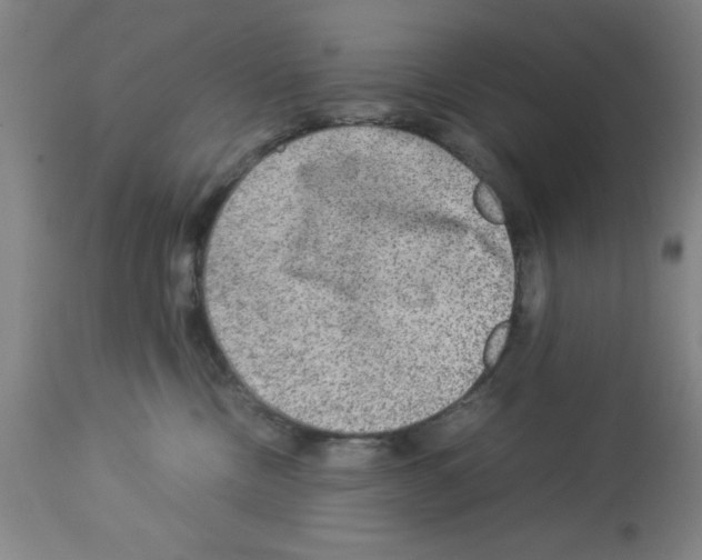 X0000112950378200910051224