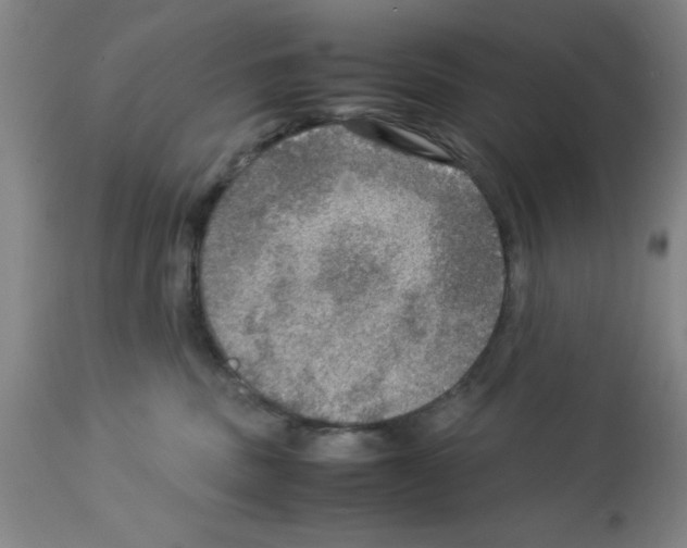 X0000112950379200910051225