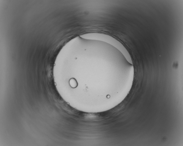X0000112950380200910051225