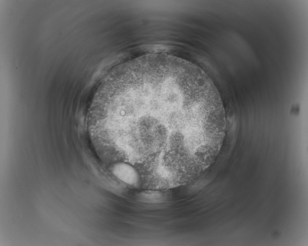 X0000112950381200910051225