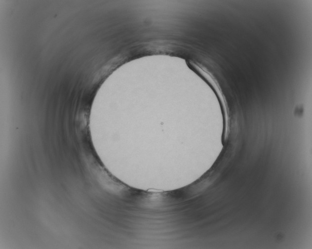 X0000112950382200910051225