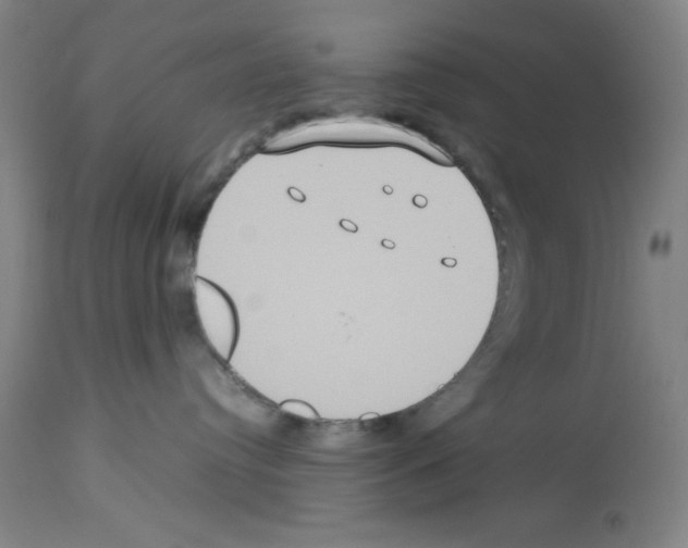 X0000112950384200910051225