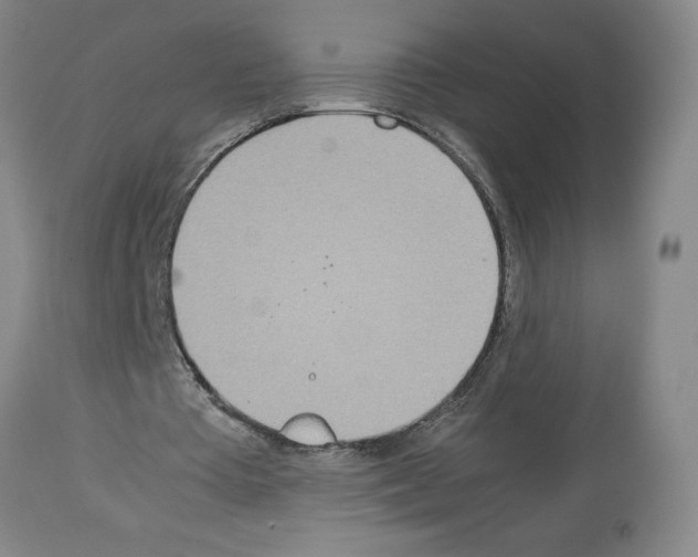 X0000112950385200910051224