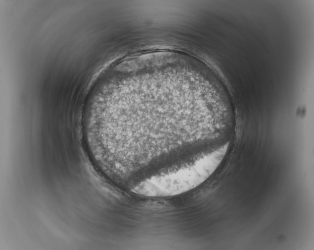 X0000112950386200910051224