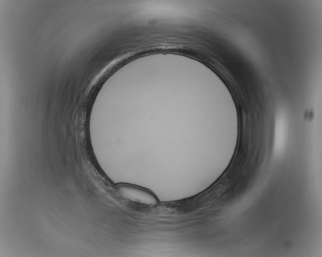 X0000112950387200910051224