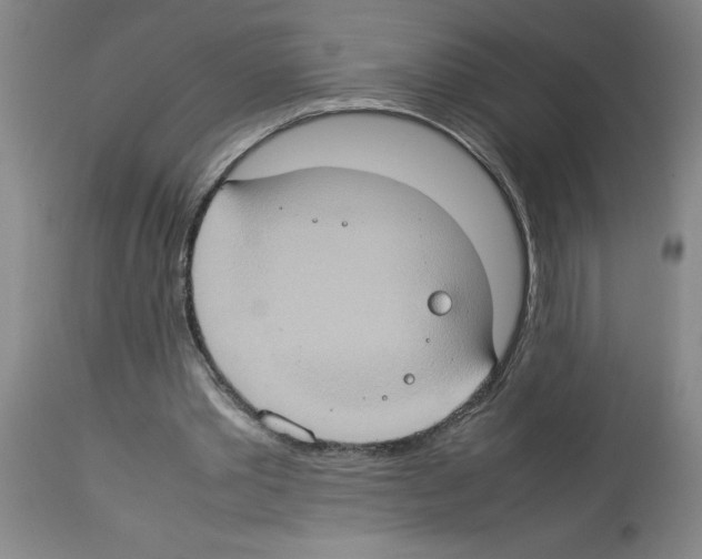 X0000112950389200910051224
