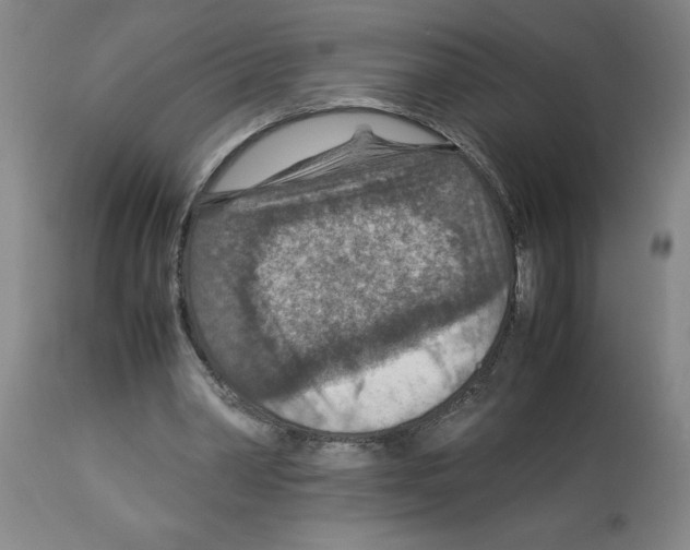 X0000112950390200910051224