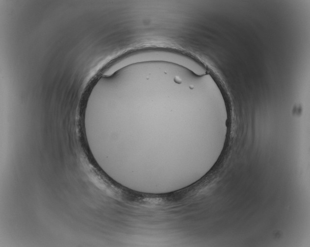 X0000112950391200910051224