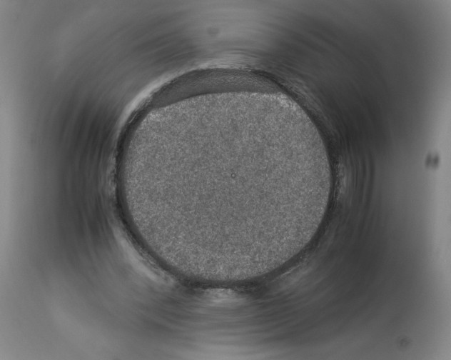 X0000112950392200910051224