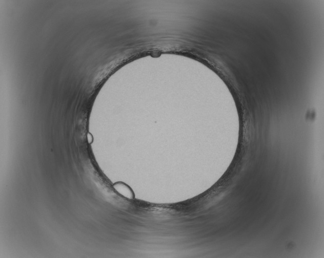 X0000112950393200910051224