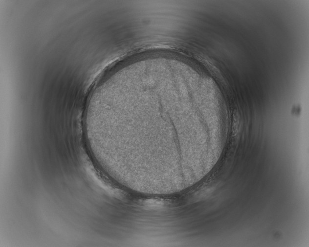 X0000112950394200910051224