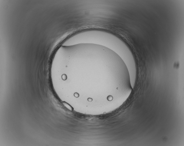 X0000112950395200910051224