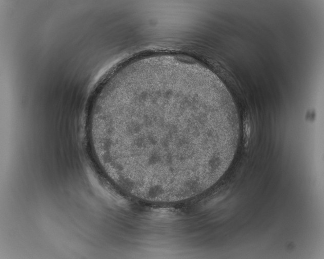 X0000112950396200910051224