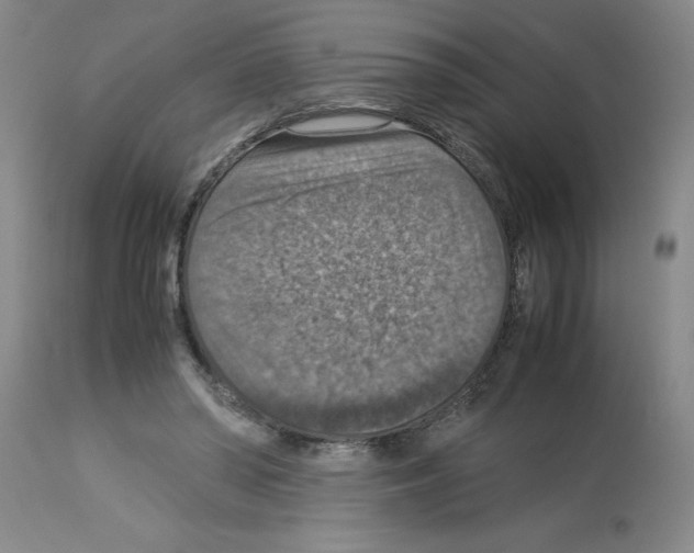 X0000112950398200910051224
