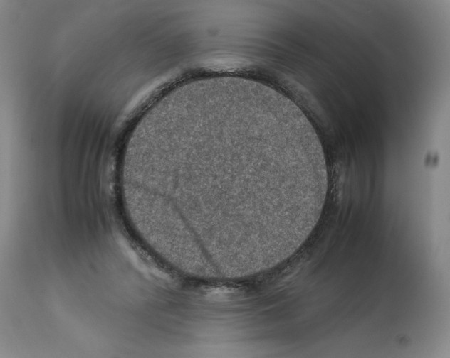 X0000112950400200910051224