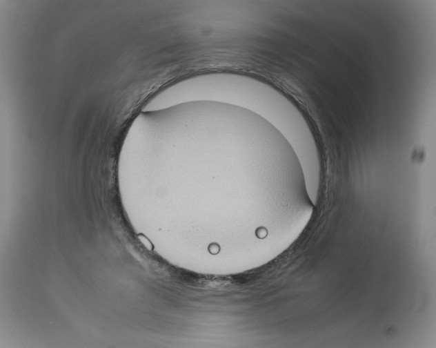 X0000112950401200910051224