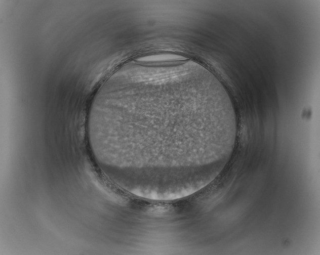 X0000112950402200910051224