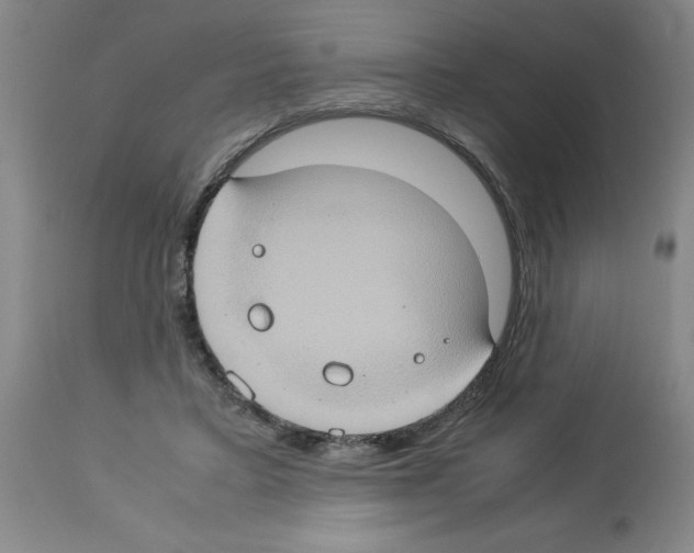X0000112950403200910051223