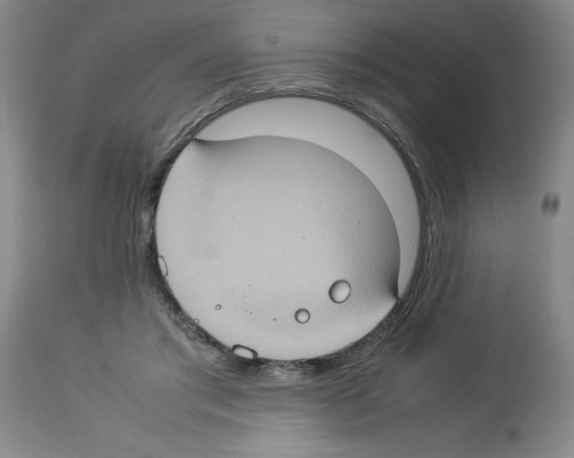 X0000112950405200910051223