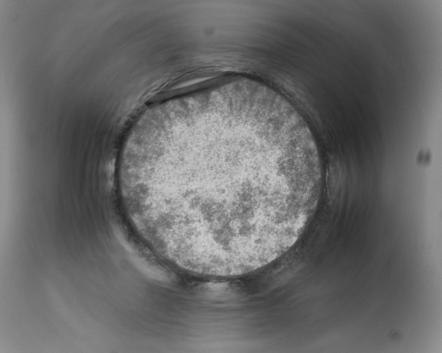 X0000112950406200910051223