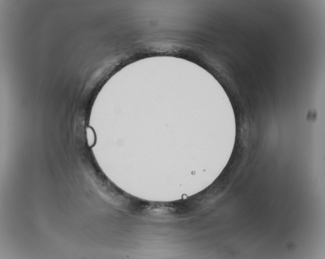 X0000112950407200910051223